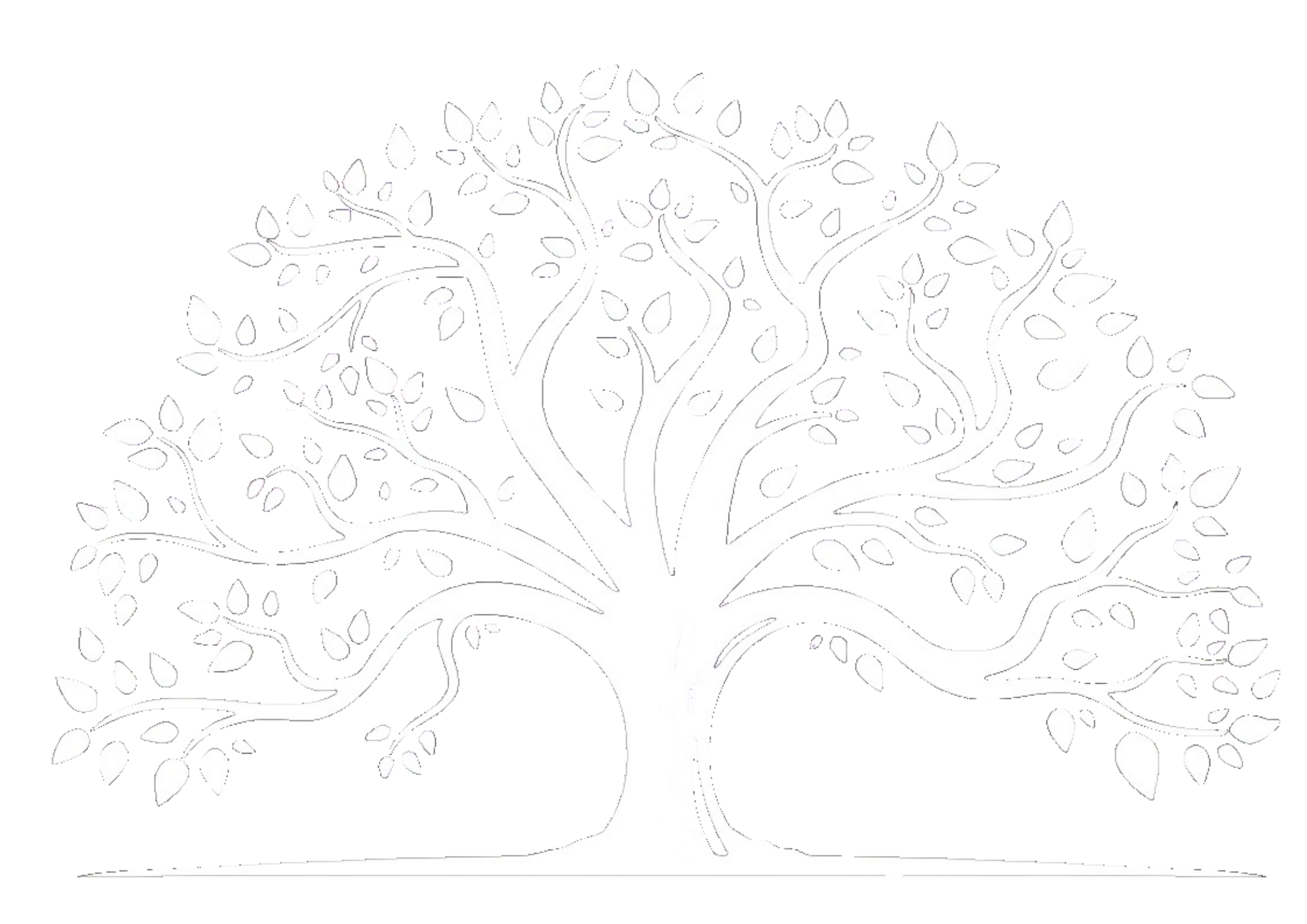 WillowRiver Logo
