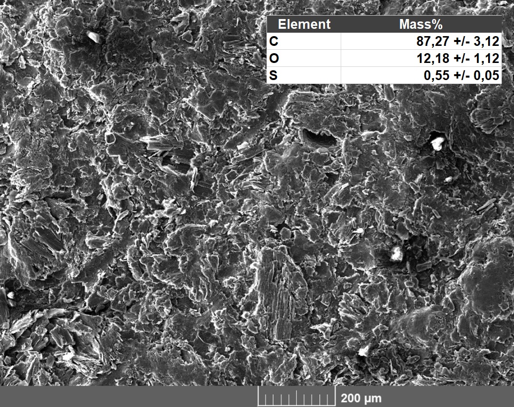 SEM-EDX Analysis